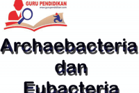 Pengertian Archaebacteria dan Eubacteria Terlengkap
