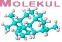 Pengertian Molekul Dalam Biologi Dan Contohnya Lengkap
