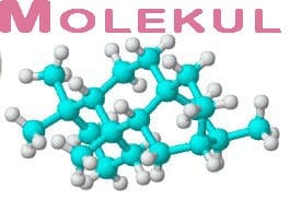 Pengertian Molekul