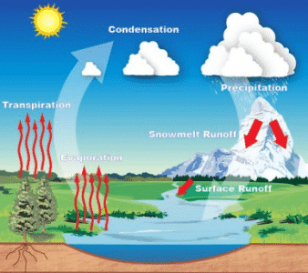Manfaat untuk hidrologi kehidupan manusia identifikasilah siklus Siklus Hidrologi