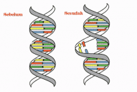 100 Penjelasan Faktor Penyebab Mutasi Gen Dalam Biologi