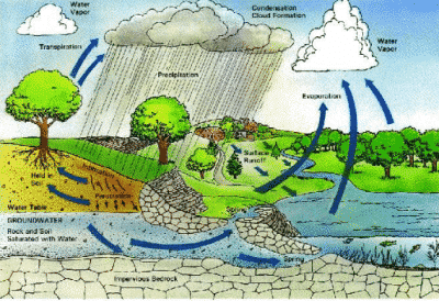 Pengertian Hujan Asam Beserta Penyebab Dan Dampaknya