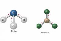 6 Perbedaan Senyawa Polar Dengan Non Polar