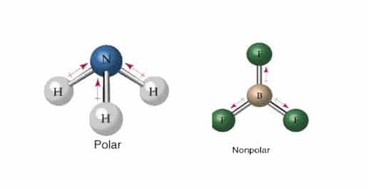 6 Perbedaan Senyawa Polar Dengan Non Polar