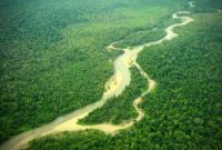 Definisi Jenis Hutan Biogeografi Di Indonesia