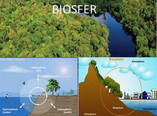 Pengertian Biosfer Faktor Pencemaran Tata Ruang Hidup