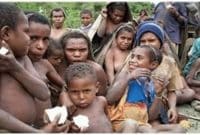 “Suku Mandobo” Sejarah & ( Bahasa – Mata Pencaharian – Kekerabatan – Kepercayaan )