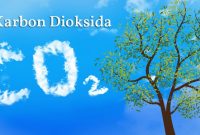 Karbon Dioksida