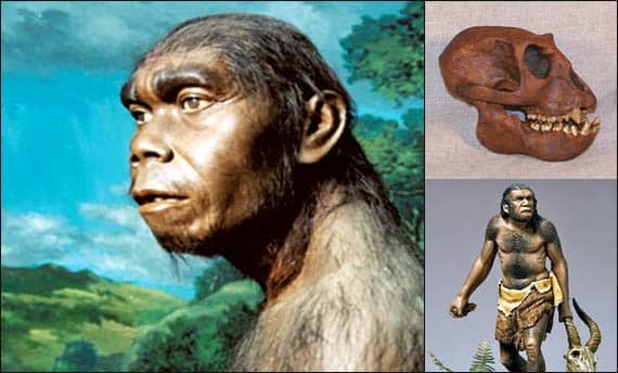 Homo soloensis dan homo wajakensis adalah pendukung peradaban zaman....