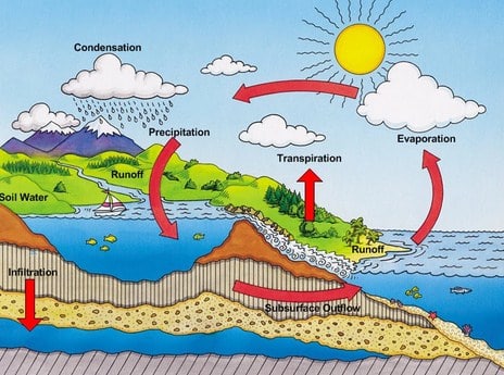 Hujan asam merupakan fenomena yang muncul akibat terjadinya pencemaran udara. dampak dari hujan asam