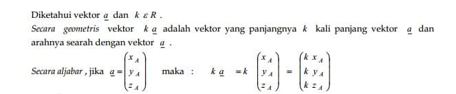 Perkalian vektor dengan bilangan real