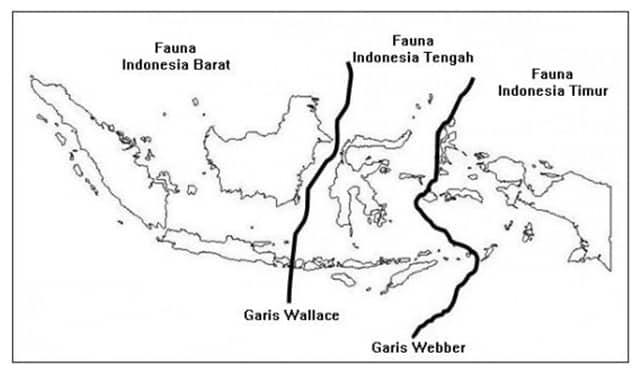 Teori Terbentuknya Kepulauan Indonesia
