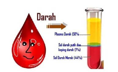 Bagian penyusun darah yang berupa cairan berwarna kuning tersusun atas air protein serta garam mineral disebut