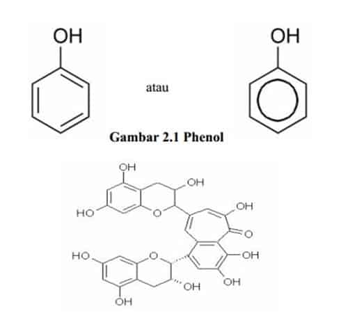 Struktur Phenol dan Polifenol
