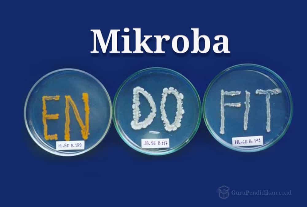 pengertian-mikroba-endofit