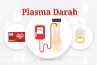 pengertian-plasma-darah