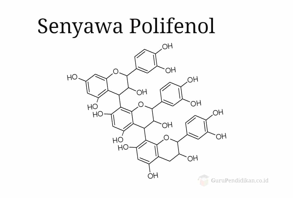 Pengertian Senyawa Polifenol, Struktur, Jenis & Klasifikasi