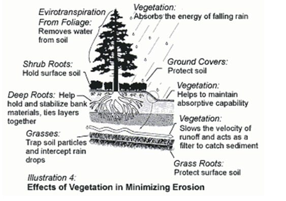 Erosi didefinisikan sebagai proses pengikisan bagian tertentu di muka bumi. jenis erosi yang terjadi karena hembusan angin yang membawa butiran pasir disebut