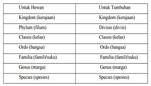 klasifikasi makhluk hidup