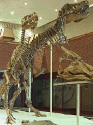 Dinosaurus Cretaceous dari Mongolia