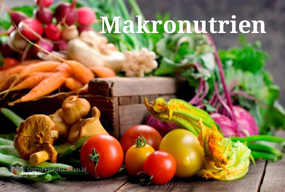 Pengertian-Makronutrien