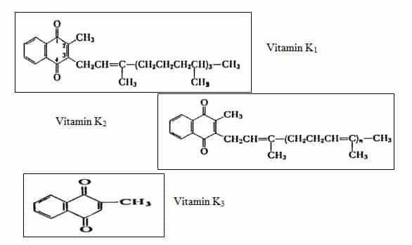Struktur Kimia & Klasifikasi Vitamin K