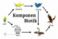 komponen-biotik-dalam-ekosistem
