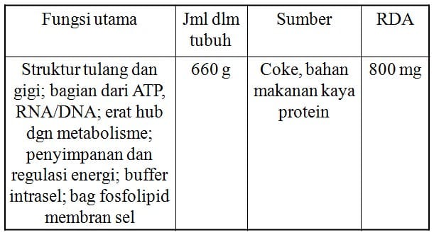 metabolisme-makronutrien 2