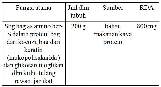 metabolisme-makronutrien belerang