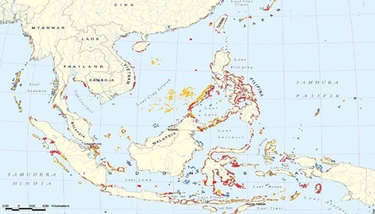 terumbu karang di Indonesia