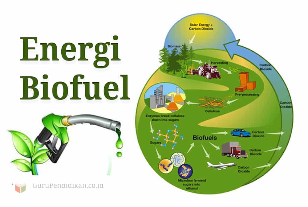 Biodiesel merupakan energi alternatif pengganti