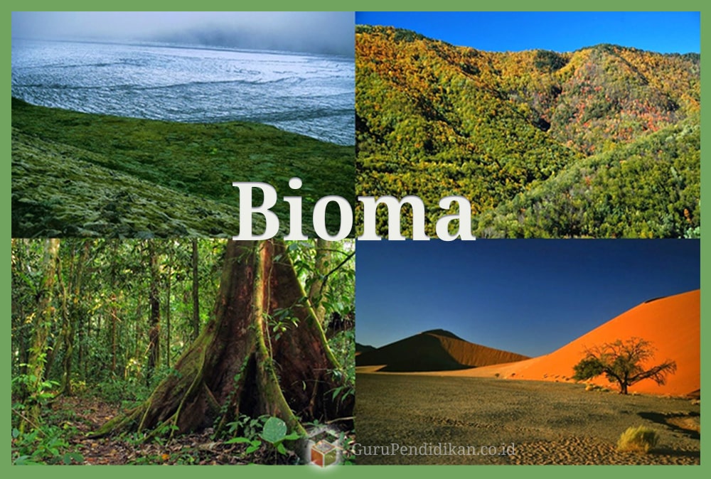 Pengertian-Bioma