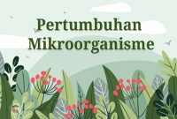 Pertumbuhan-Mikroorganisme