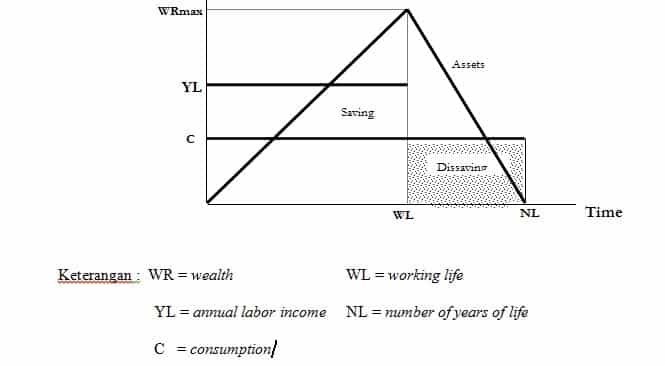 The Life-cycle - Permanent Income Theory of Consumption and Saving