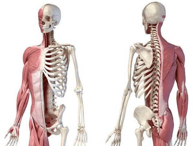 Ke membengkok ke kelainan disebut belakang kanan disebut tulang kondisi bagian atau punggung tulang kiri dimana Kelainan tulang