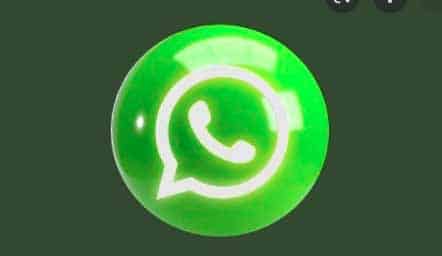 Scoopy Spy WhatsApp Apk Link Download Fitur Lengkap